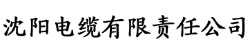 丨天天综合网永久入糖心电缆厂logo